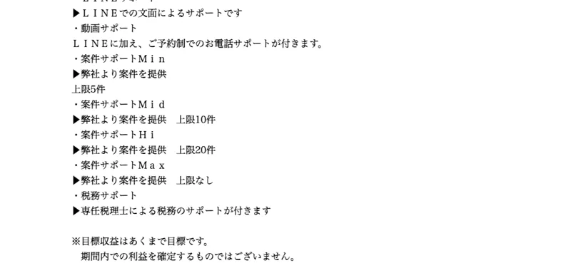 LINEサポート、予約制の電話サポート、副業の紹介、専任税理士の税務サポートと記載されたサポート内容